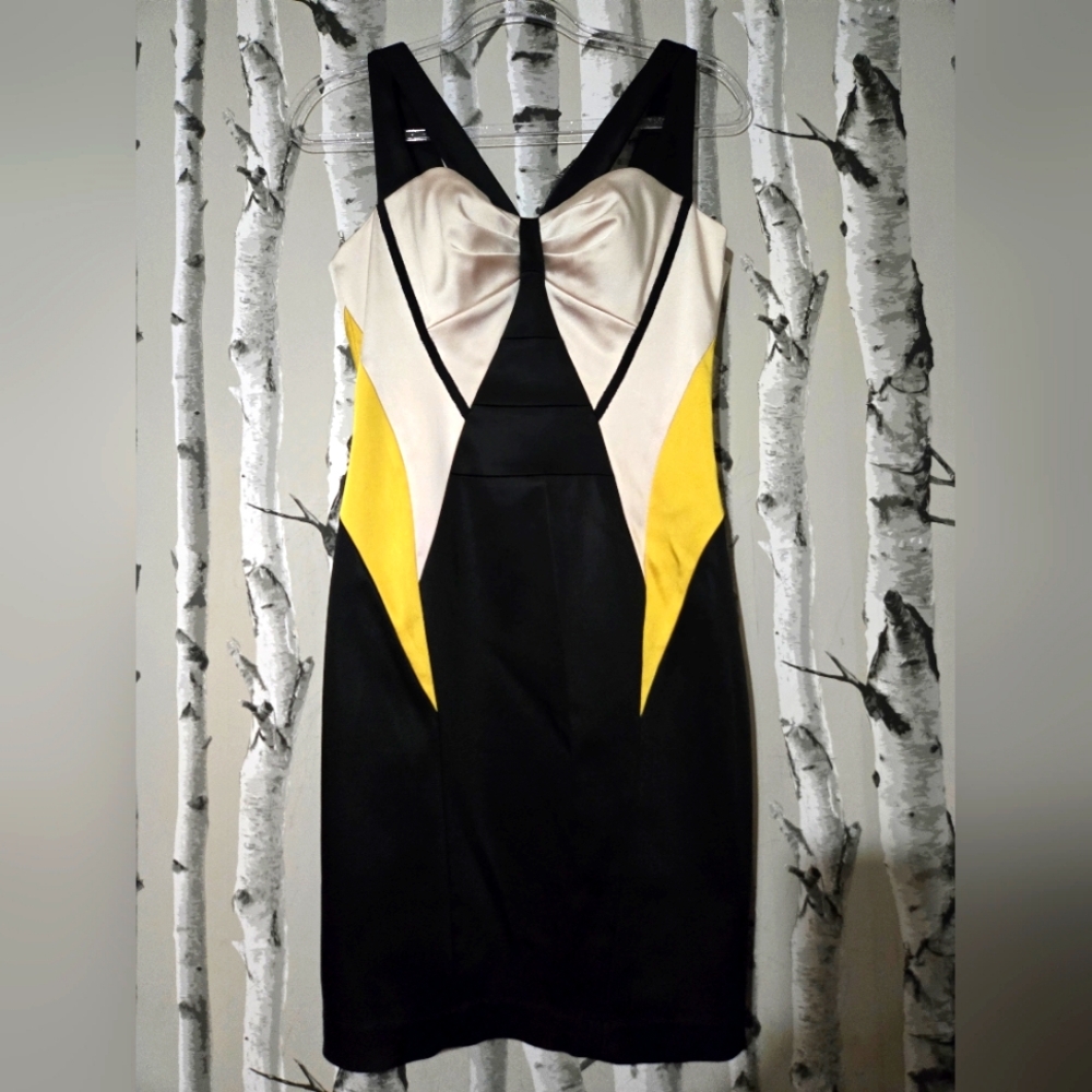 Jax Color Block Sheath Dress Size 8